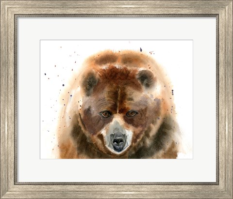 Framed Bear IV Print