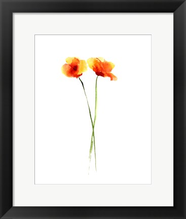 Framed Poppy II Print