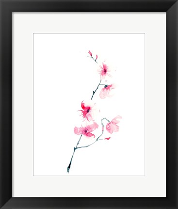 Framed Cherry Blossom Print