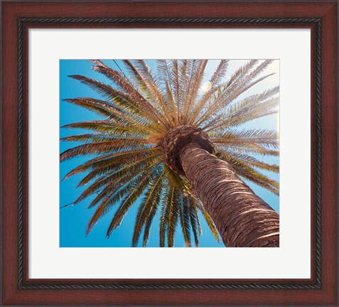 Framed Sunny Palms Print