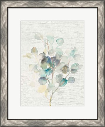 Framed Eucalyptus III Vintage Print