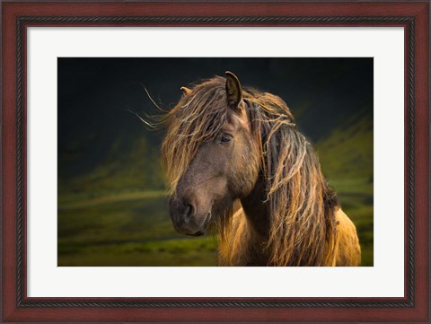Framed Born To Be Wild Print