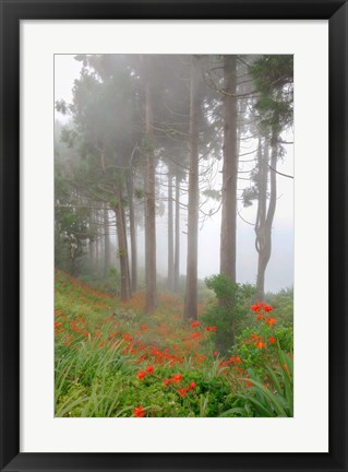 Framed Forest of The Flowers Print