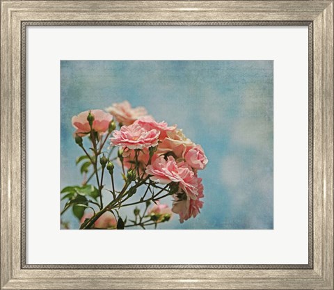 Framed Antique Roses with French Script Print