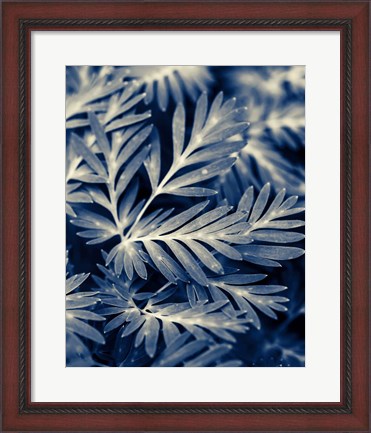 Framed Navy Blue Leaves Print