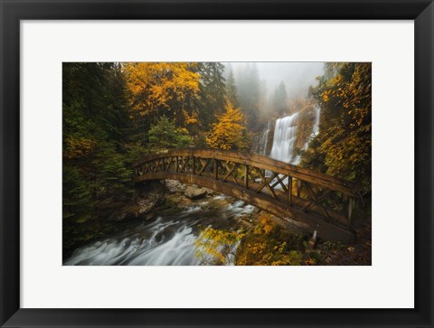 Framed Bridge in the Forest Print