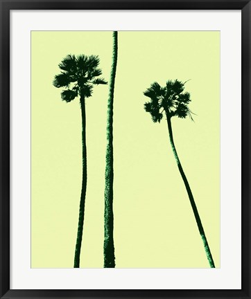 Framed Palm Trees 2000 (Cyan) Print