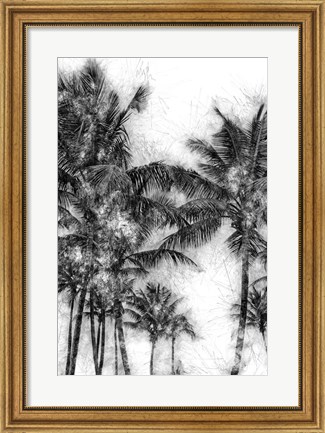 Framed Dorado Palms 1 Print