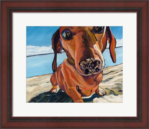 Framed Sand Dog Print