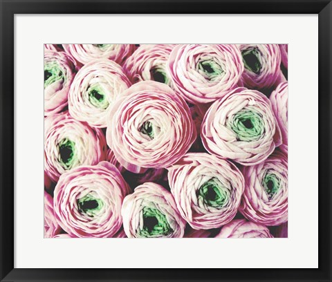 Framed Bundle of Sweetness Print