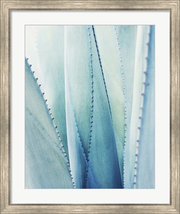 Framed Pale Blue Agave No. 1 Print