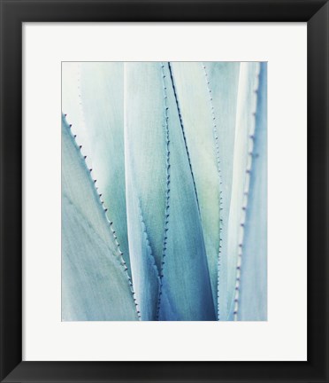 Framed Pale Blue Agave No. 1 Print