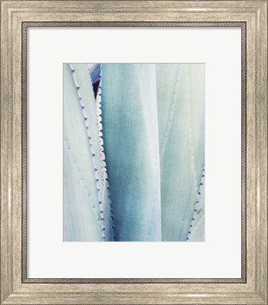 Framed Pale Blue Agave No. 3 Print