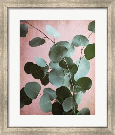 Framed Sage Eucalyptus No. 1 Print
