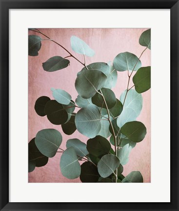 Framed Sage Eucalyptus No. 1 Print