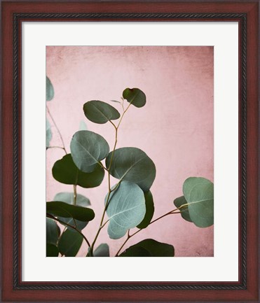 Framed Sage Eucalyptus No. 2 Print