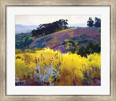 Framed Late Sun, Eucalyptus on the Ridge Print