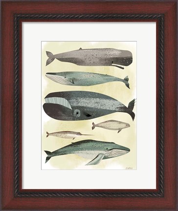 Framed Whales Print