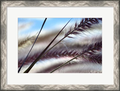 Framed Grasses No. 8 Print