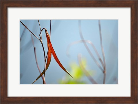 Framed Red and Green by the River Print
