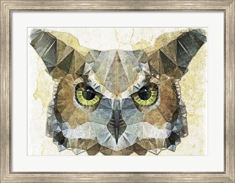 Framed Abstract Owl Print
