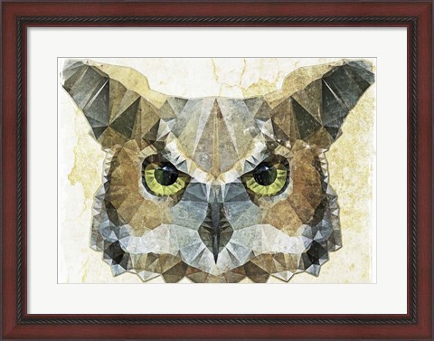 Framed Abstract Owl Print