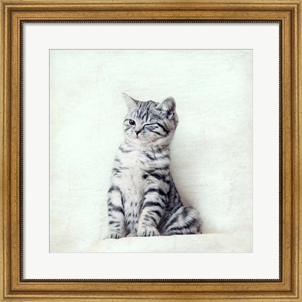 Framed Cat Winks Print