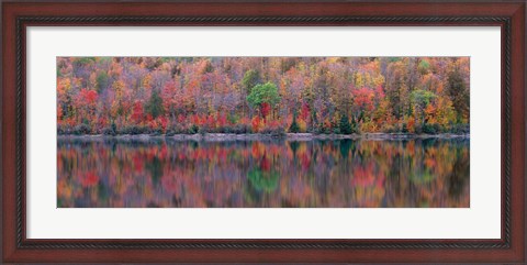 Framed Upson Lake Reflection Print