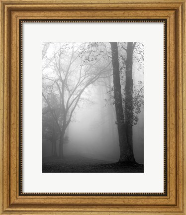 Framed November Fog Print