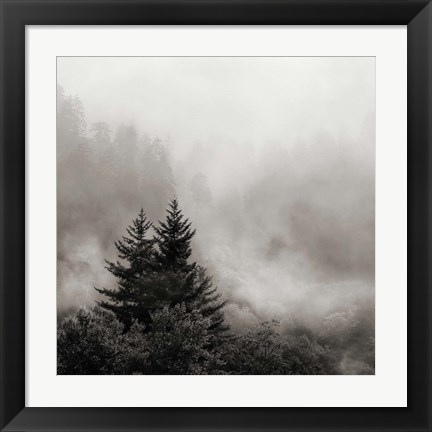 Framed Rising Mist, Smoky Mountains Print