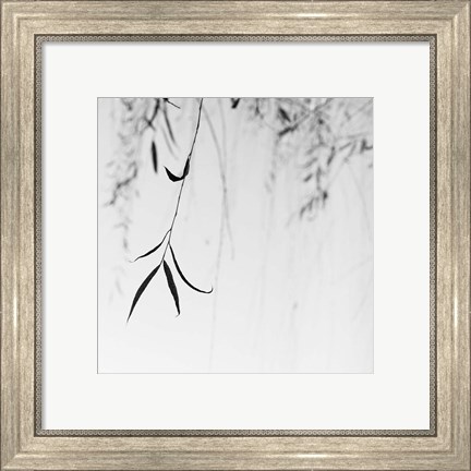Framed Willow Print No. 1 Print