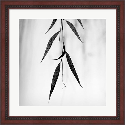 Framed Willow Print No. 2 Print