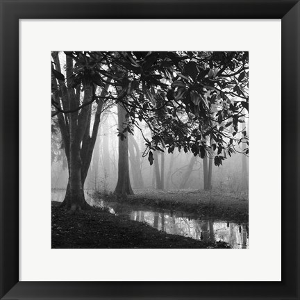 Framed Woodland No. 1 Print