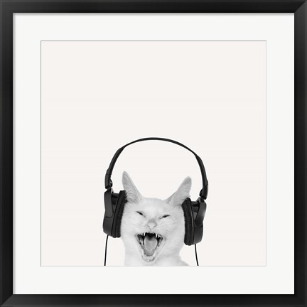 Framed Rockin&#39; Kitten Print