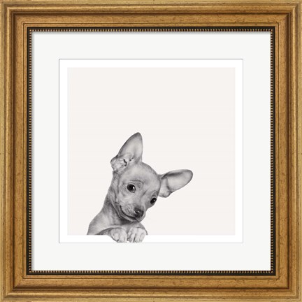 Framed Sweet Chihuahua Print