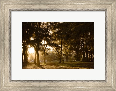 Framed Daybreak Print