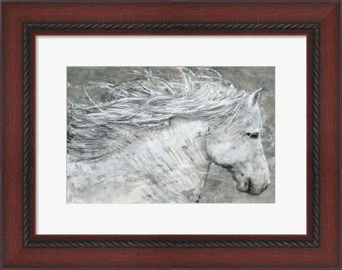Framed Wild Horse Print