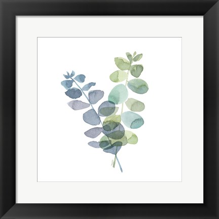Framed Natural Inspiration Blue Eucalyptus on White I Print