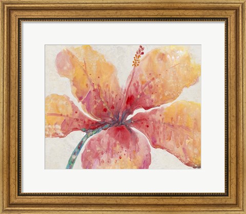 Framed Blooming Hibiscus Print