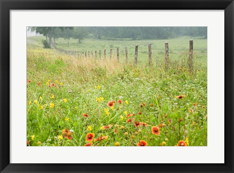 Framed Flowers and Fence Print