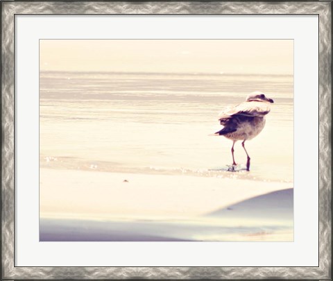 Framed Bird at The Beach Print