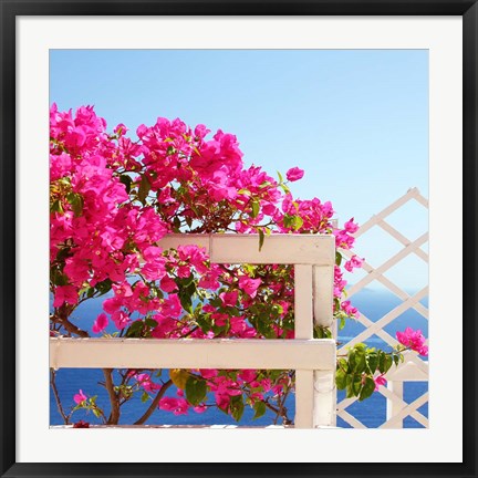 Framed Santorini Blooms Print