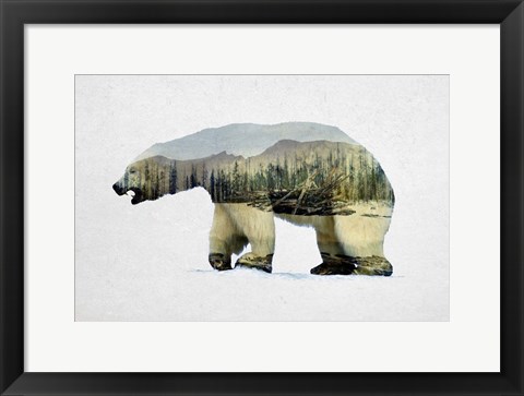 Framed Arctic Polar Bear Print