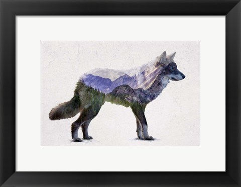 Framed Rocky Mountain Grey Wolf Print