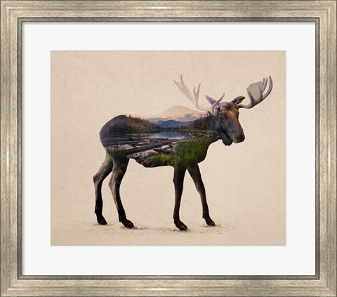Framed Alaskan Bull Moose Print