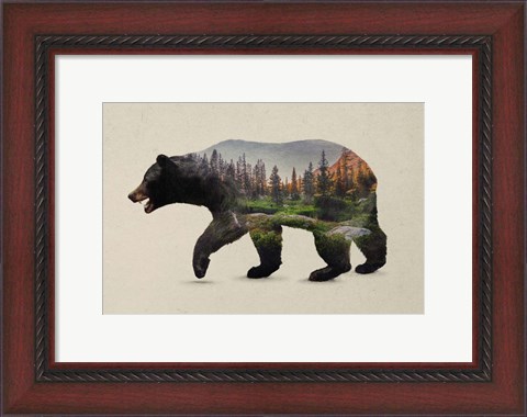 Framed North American Black Bear Print