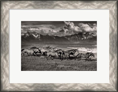 Framed Mountain Range Mavericks Print