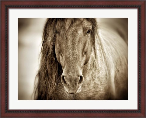 Framed Mustang Sally Print