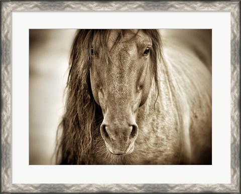 Framed Mustang Sally Print