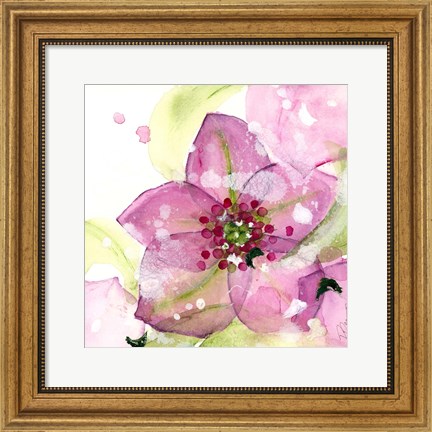 Framed Pink Flower in the Snow Print